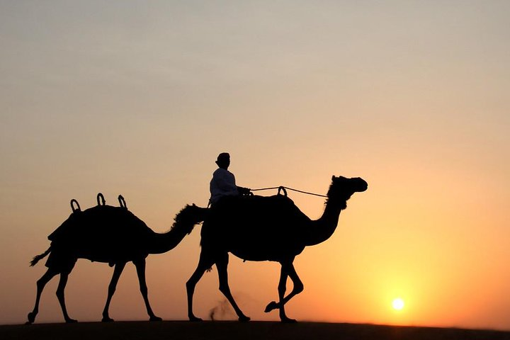 Experience the serene beauty of a desert sunset as you ride camels through the vast sands embracing the essence of adventure and exploration in Dubai's stunning landscape.